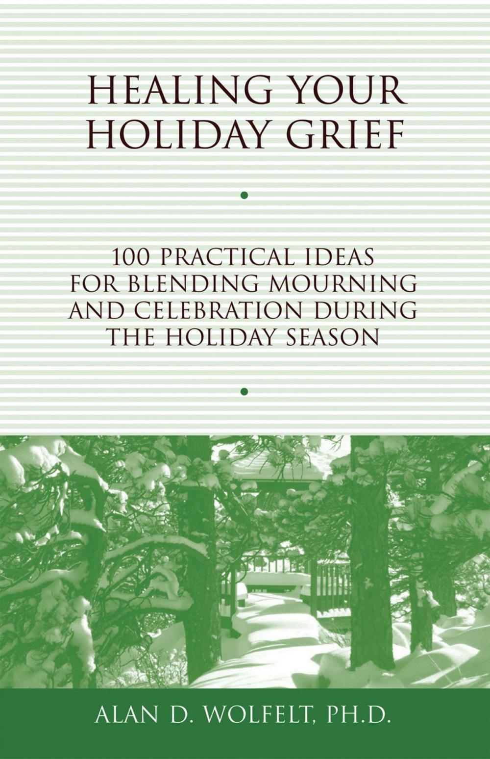 Big bigCover of Healing Your Holiday Grief