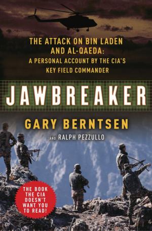 Cover of the book Jawbreaker by Hal Williams