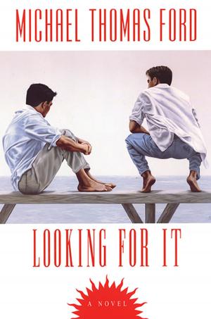 Cover of the book Looking For It by Todd Gregory