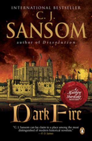 Cover of the book Dark Fire by Ann DeVito