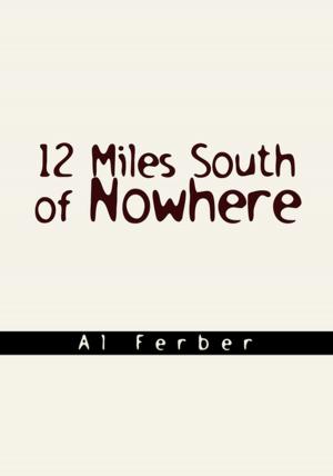 Cover of the book 12 Miles South of Nowhere by Blake Townsend Romanov