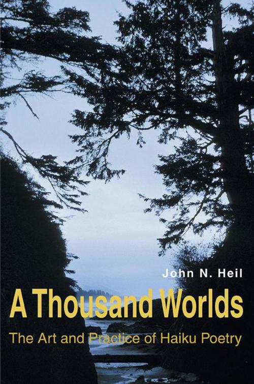 Cover of the book A Thousand Worlds by John N. Heil, iUniverse