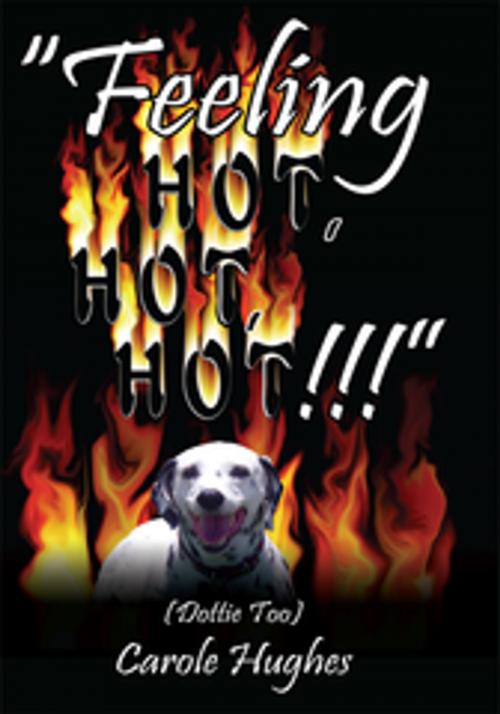 Cover of the book "Feeling Hot, Hot, Hot!!!" by Carole Hughes, AuthorHouse