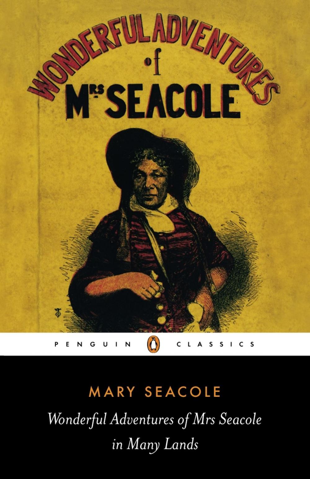 Big bigCover of Wonderful Adventures of Mrs Seacole in Many Lands