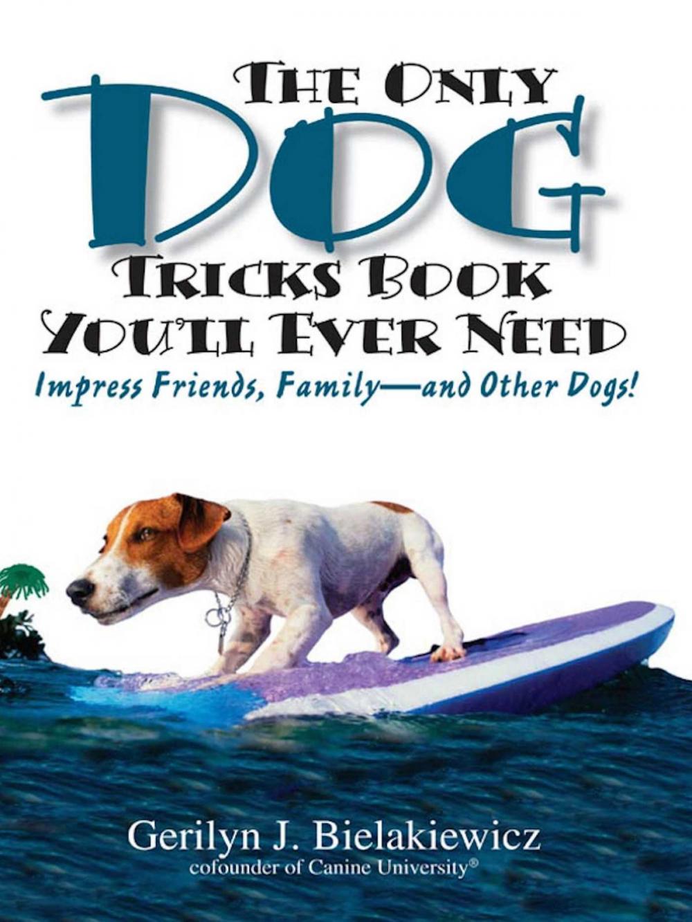 Big bigCover of The Only Dog Tricks Book You'll Ever Need