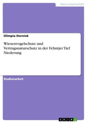 Cover of the book Wiesenvogelschutz und Vertragsnaturschutz in der Fehntjer Tief Niederung by Dirk Hen