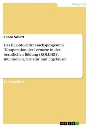 Cover of the book Das BLK-Modellversuchsprogramm 'Kooperation der Lernorte in der beruflichen Bildung (KOLIBRI)': Intentionen, Struktur und Ergebnisse by Natalie Züfle