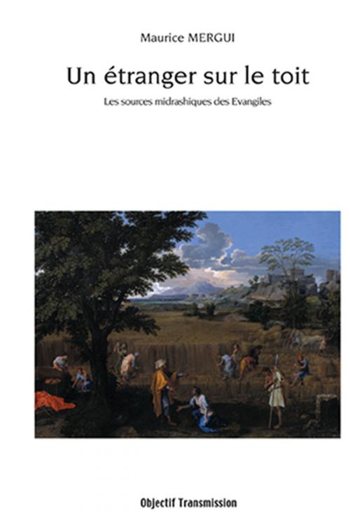 Cover of the book Un Etranger sur le toit by Maurice Mergui, Objectif Transmission