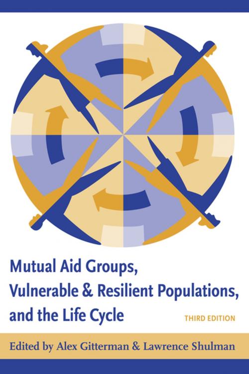 Cover of the book Mutual Aid Groups, Vulnerable and Resilient Populations, and the Life Cycle by , Columbia University Press