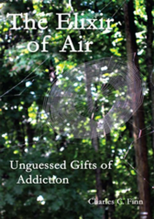 Cover of the book The Elixir of Air by Charles C. Finn, AuthorHouse