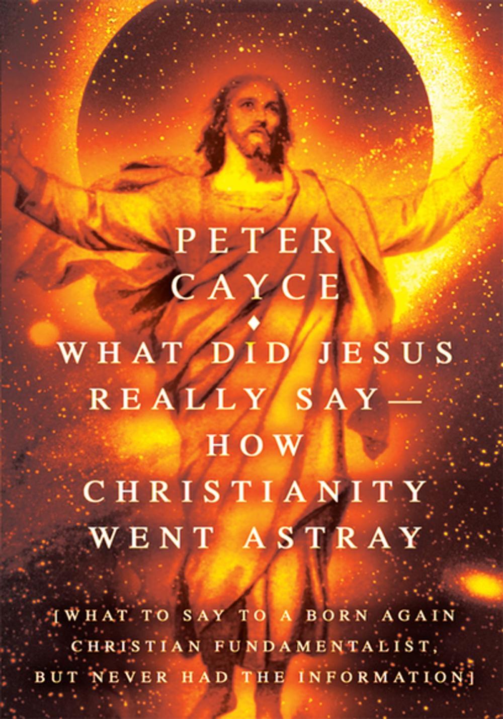 Big bigCover of What Did Jesus Really Say-How Christianity Went Astray