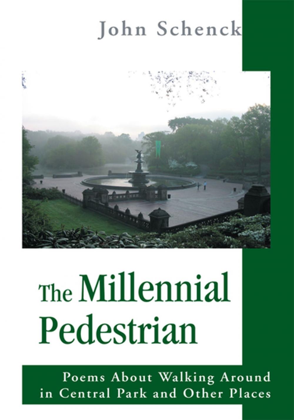 Big bigCover of The Millennial Pedestrian