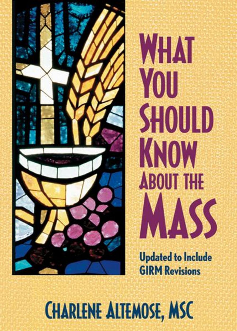 Big bigCover of What You Should Know About the Mass