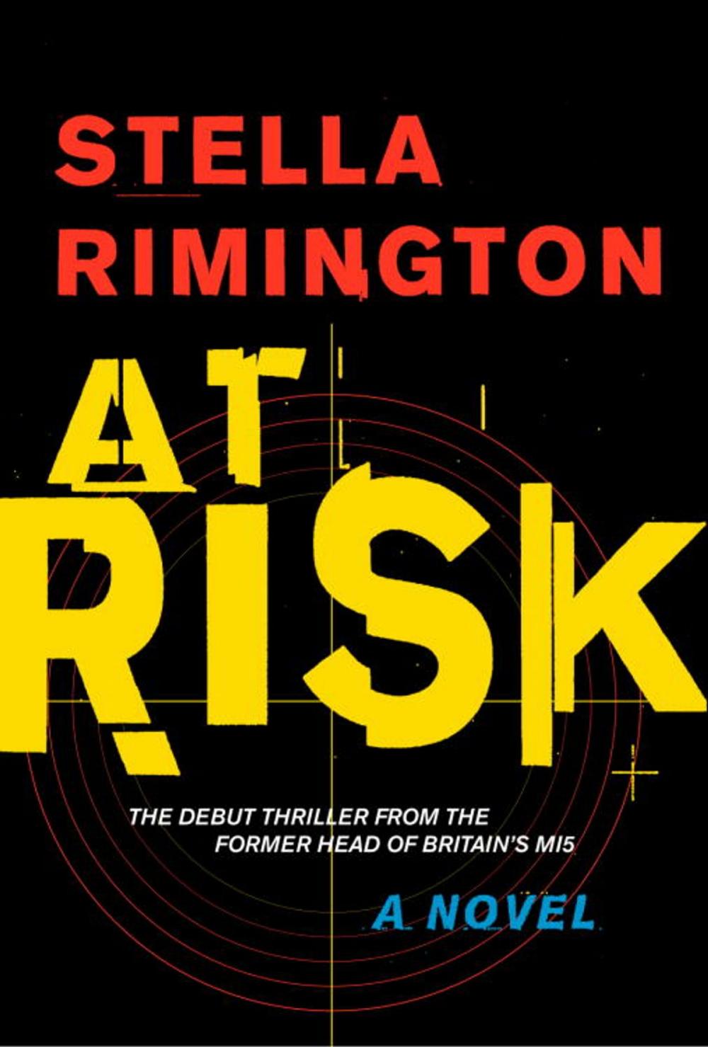 Big bigCover of At Risk