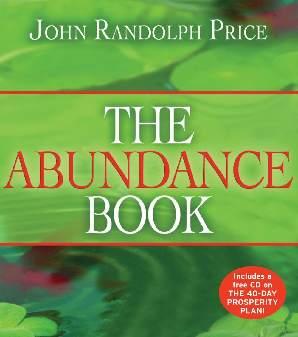 Big bigCover of The Abundance Book