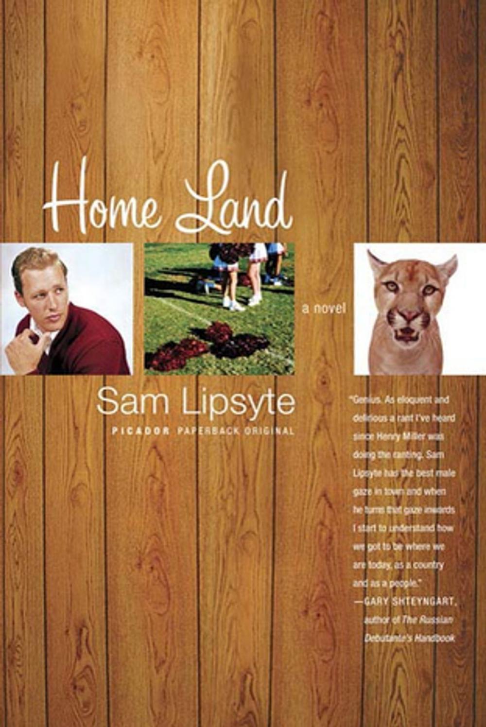 Big bigCover of Home Land