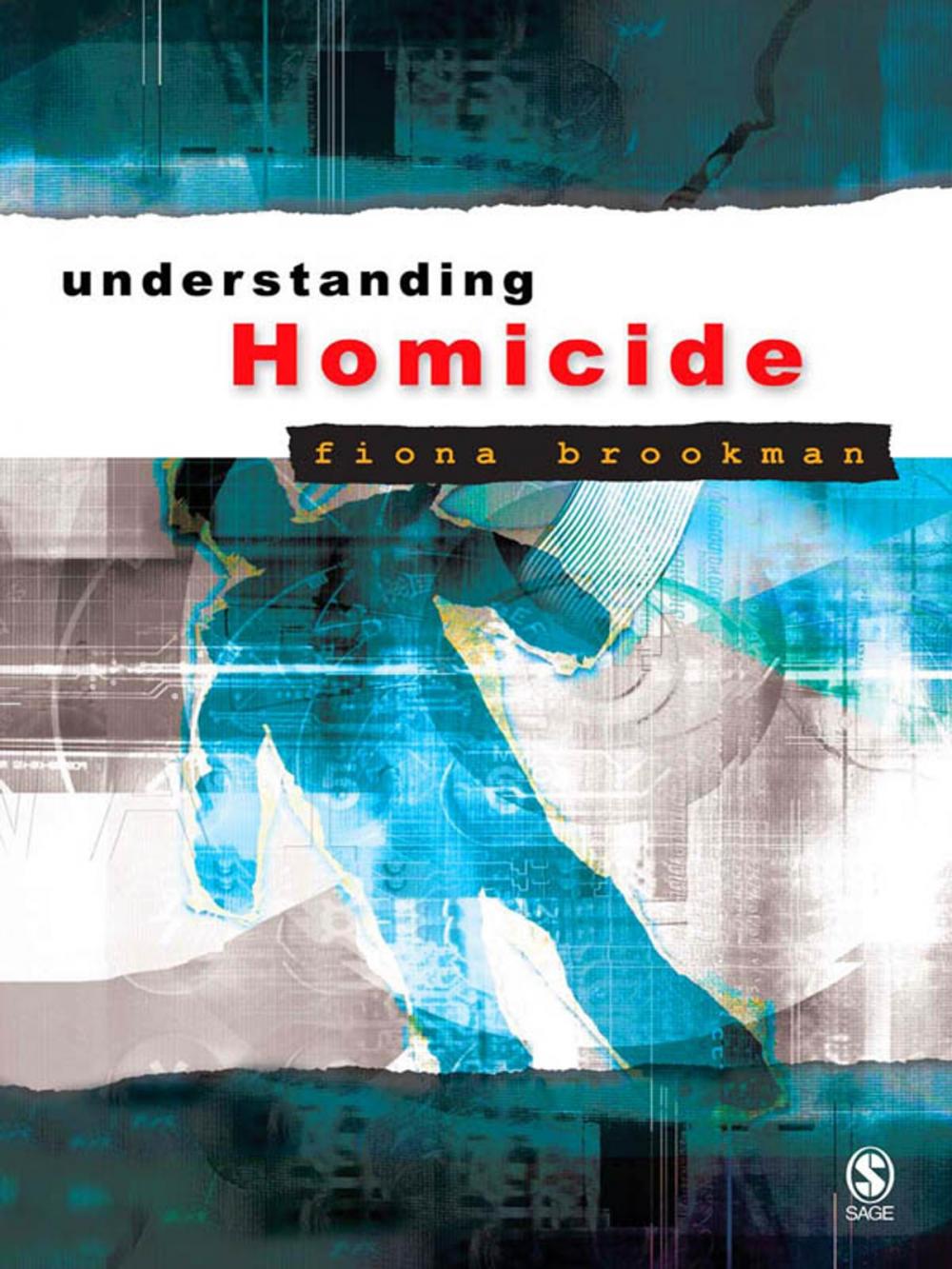 Big bigCover of Understanding Homicide