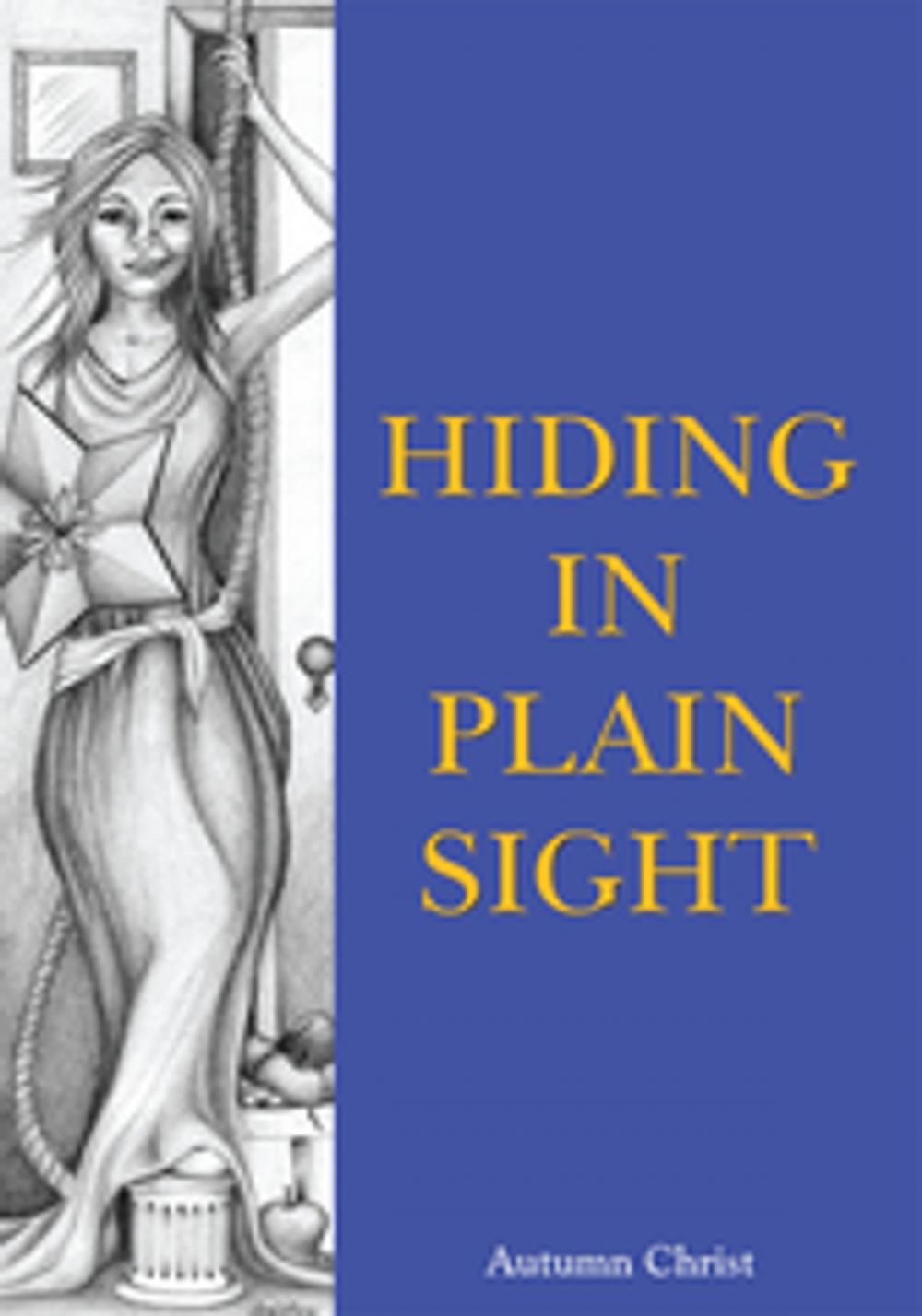 Big bigCover of Hiding in Plain Sight