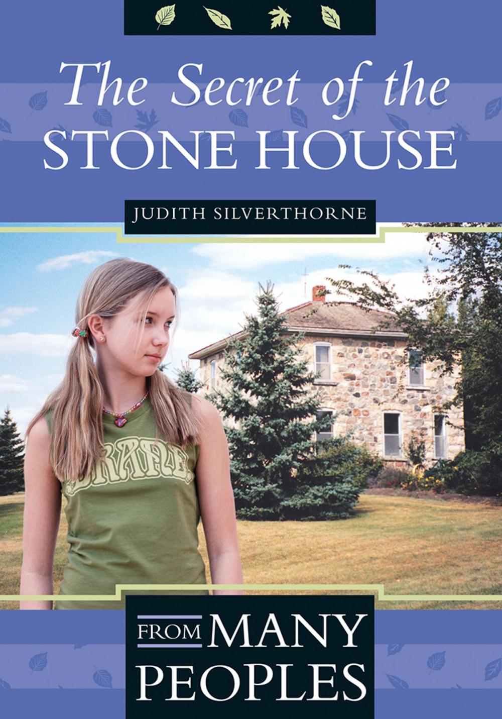 Big bigCover of The Secret of the Stone House