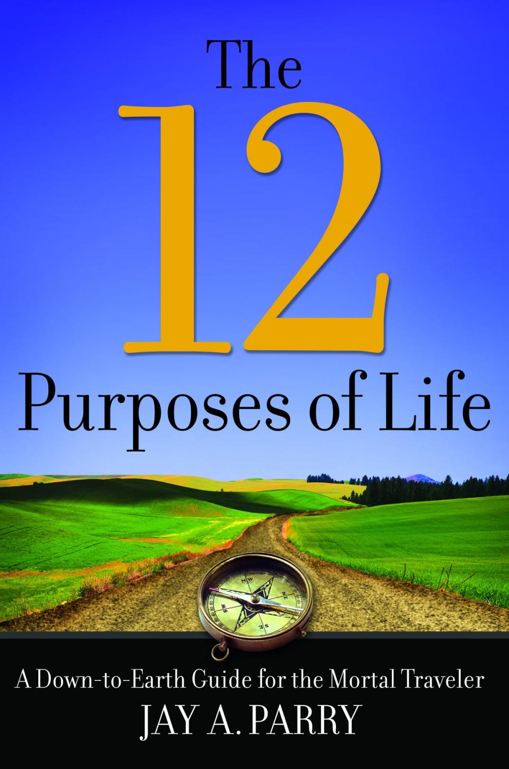 Big bigCover of The 12 Purposes of Life