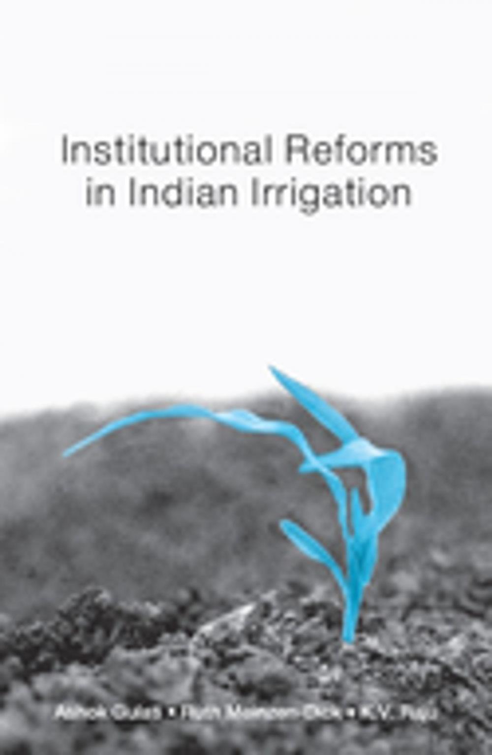 Big bigCover of Institutional Reforms in Indian Irrigation