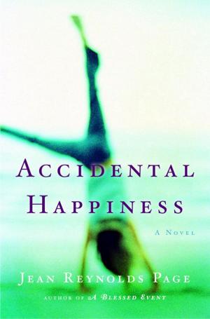 bigCover of the book Accidental Happiness by 
