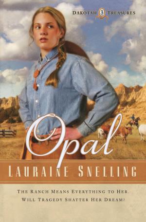 Cover of the book Opal (Dakotah Treasures Book #3) by Dani Pettrey