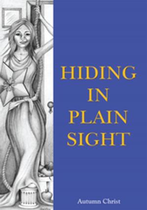 Cover of the book Hiding in Plain Sight by Sergio Antonio Meneghetti