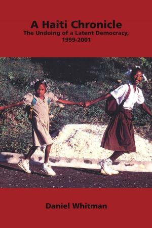 Cover of the book A Haiti Chronicle by John Novak