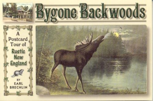 Cover of the book Bygone Backwoods by Earl Brechlin, Down East Books