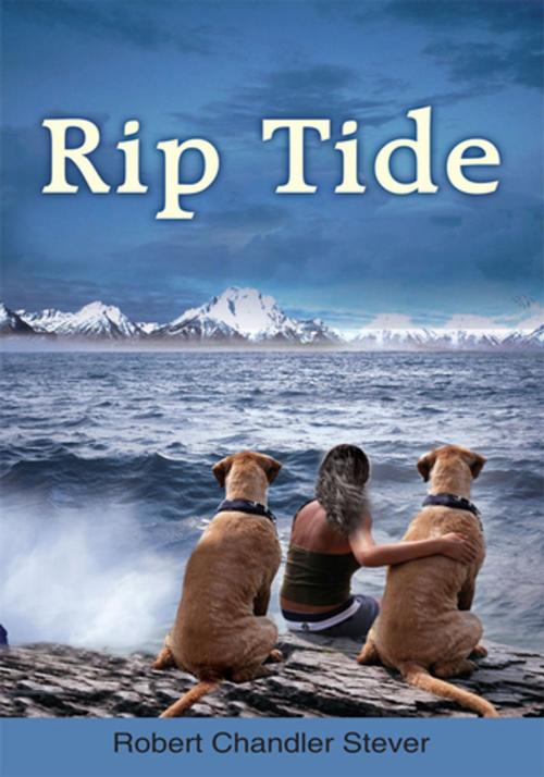 Cover of the book Rip Tide by Robert Chandler Stever, AuthorHouse