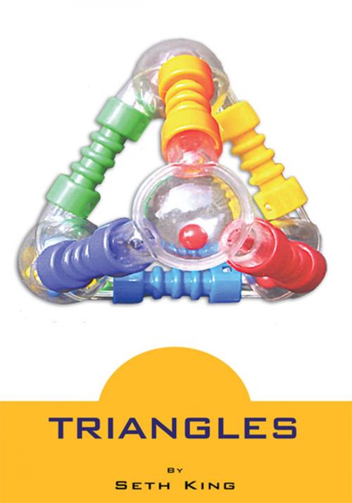 Cover of the book Triangles by Seth King, Xlibris US