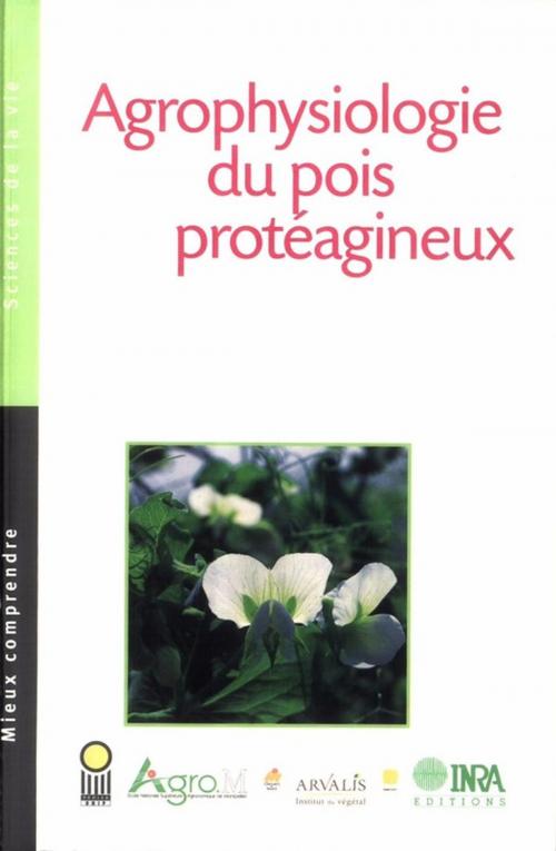 Cover of the book Agrophysiologie du pois protéagineux by Isabelle Chaillet, Marie-Hélène Jeuffroy, Nathalie Munier-Jolain, Jérémie Lecoeur, Véronique Biarnès, Quae