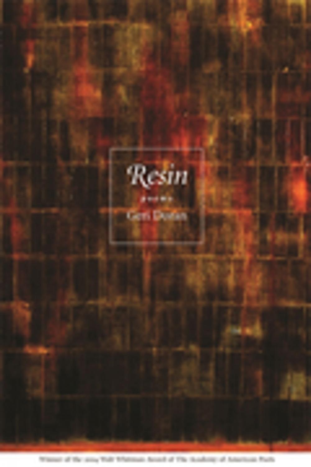 Big bigCover of Resin