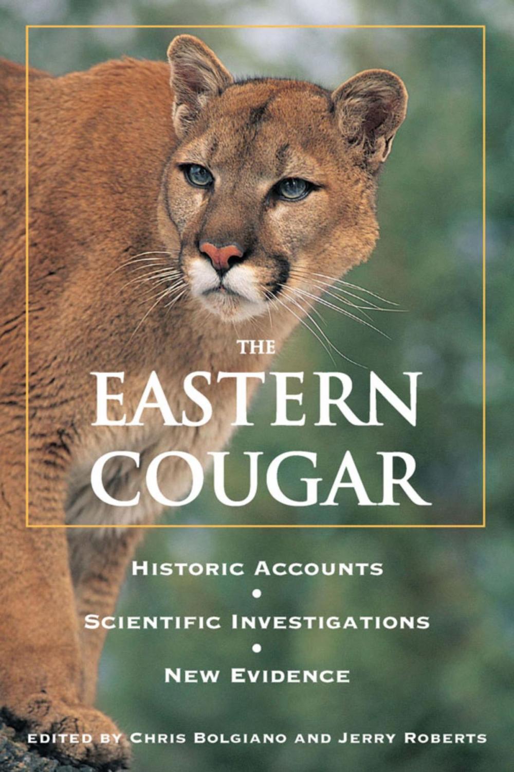 Big bigCover of Eastern Cougar