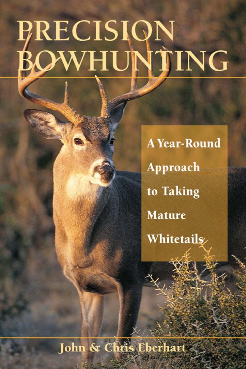 Big bigCover of Precision Bowhunting