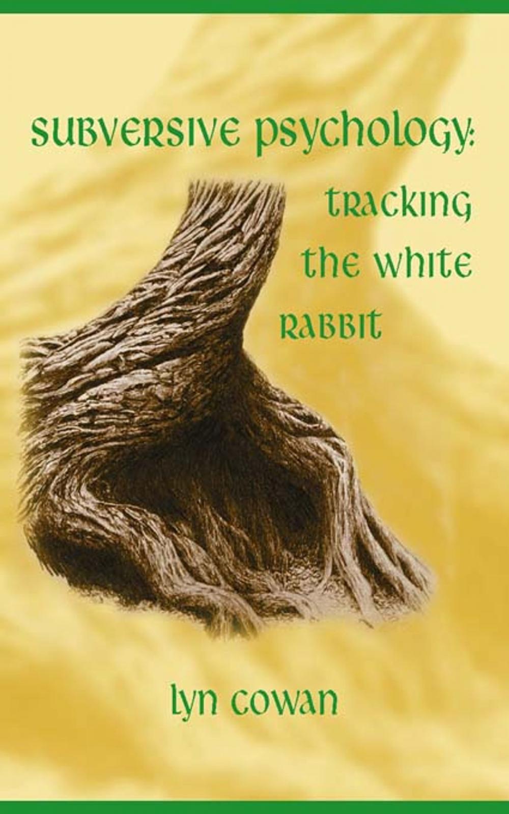 Big bigCover of Tracking the White Rabbit