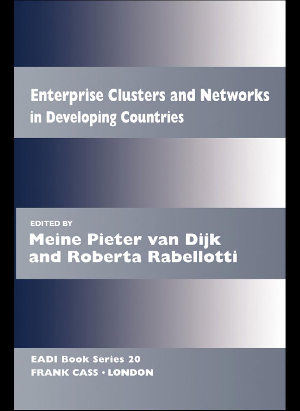 Big bigCover of Enterprise Clusters and Networks in Developing Countries