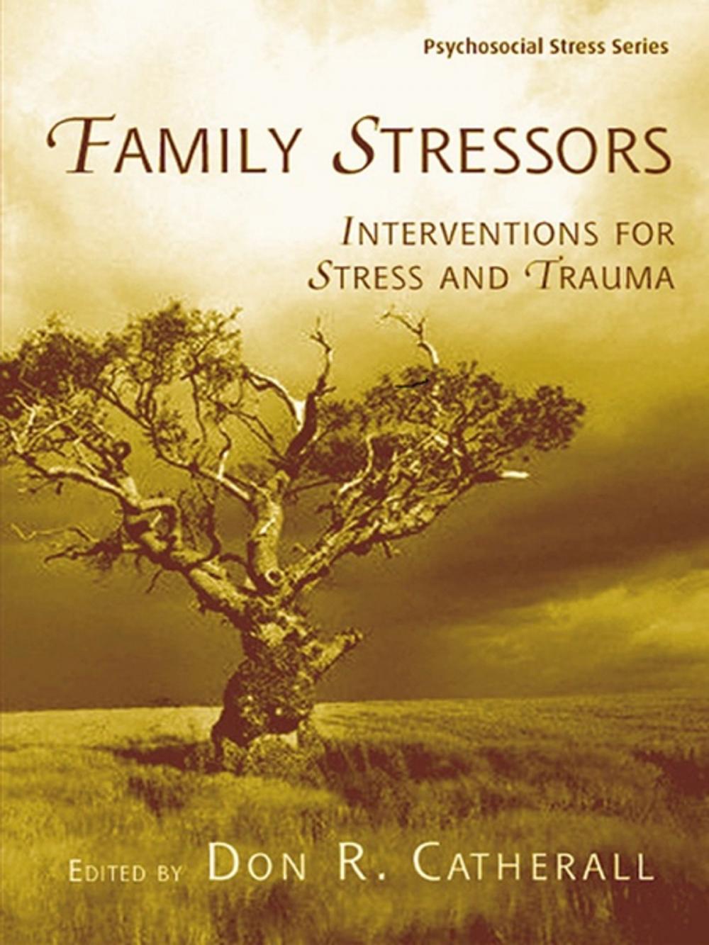 Big bigCover of Family Stressors