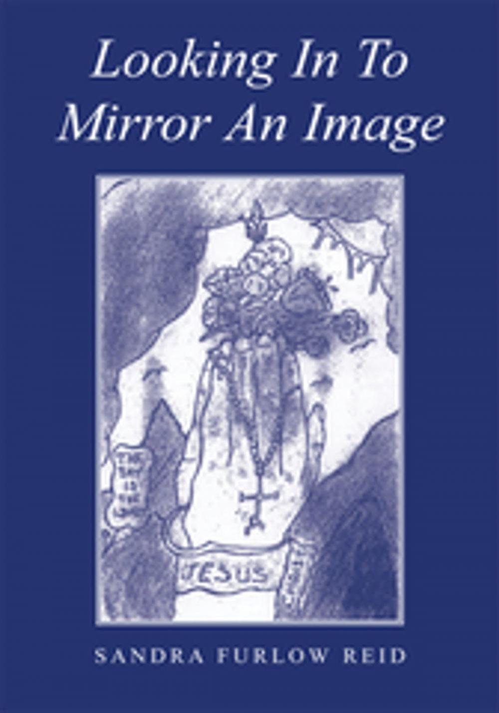 Big bigCover of Looking in to Mirror an Image