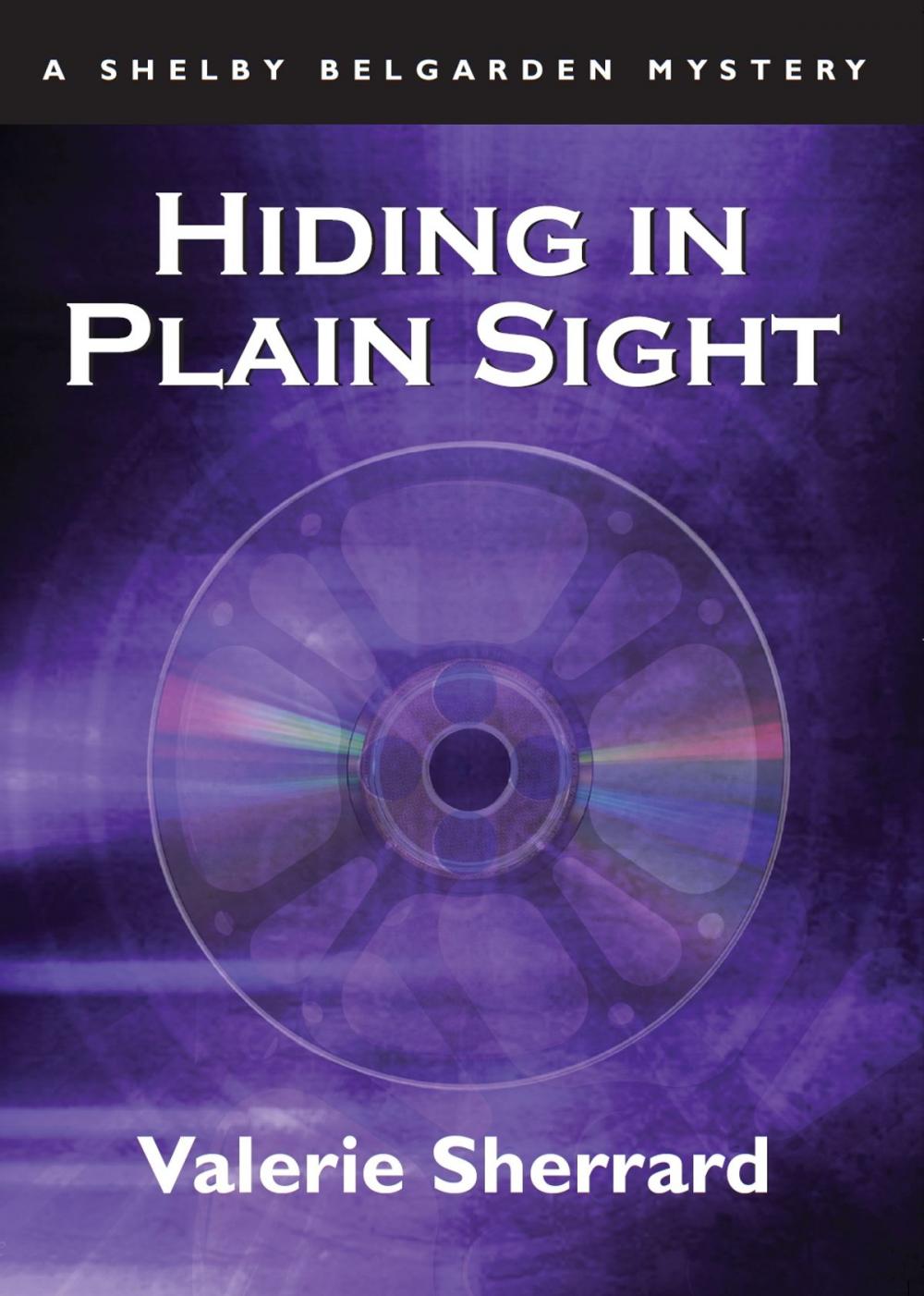 Big bigCover of Hiding in Plain Sight