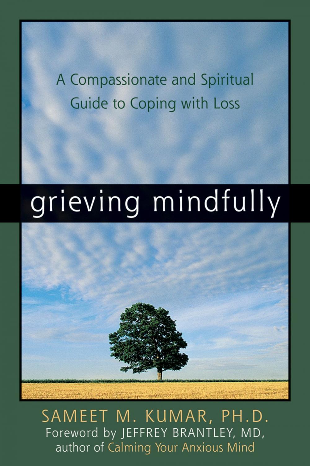 Big bigCover of Grieving Mindfully