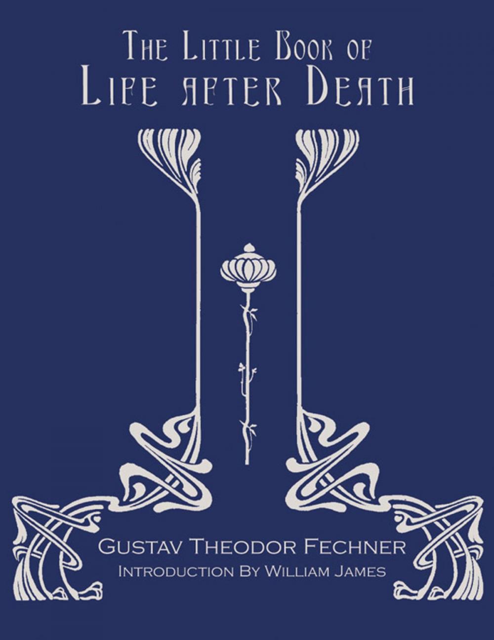 Big bigCover of The Little Book of Life After Death