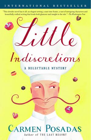 Cover of the book Little Indiscretions by Lauren Belfer