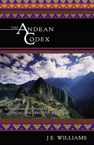 Cover of the book The Andean Codex: Adventures and Initiations among the Peruvian Shamans by Lucid Ville