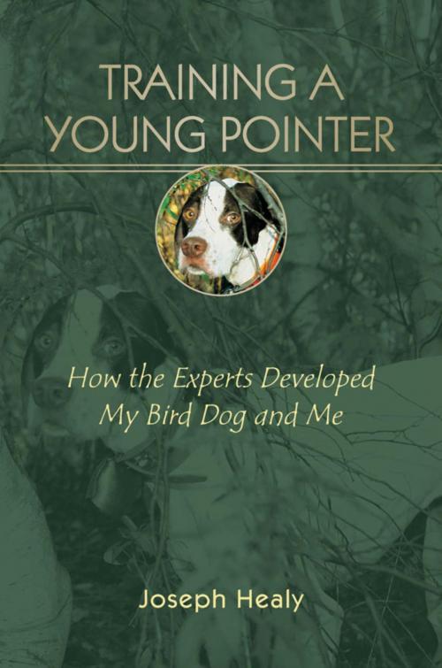 Cover of the book Training a Young Pointer by Joseph Healy, Stackpole Books