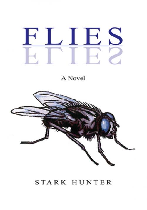 Cover of the book Flies by Stark Hunter, Xlibris US