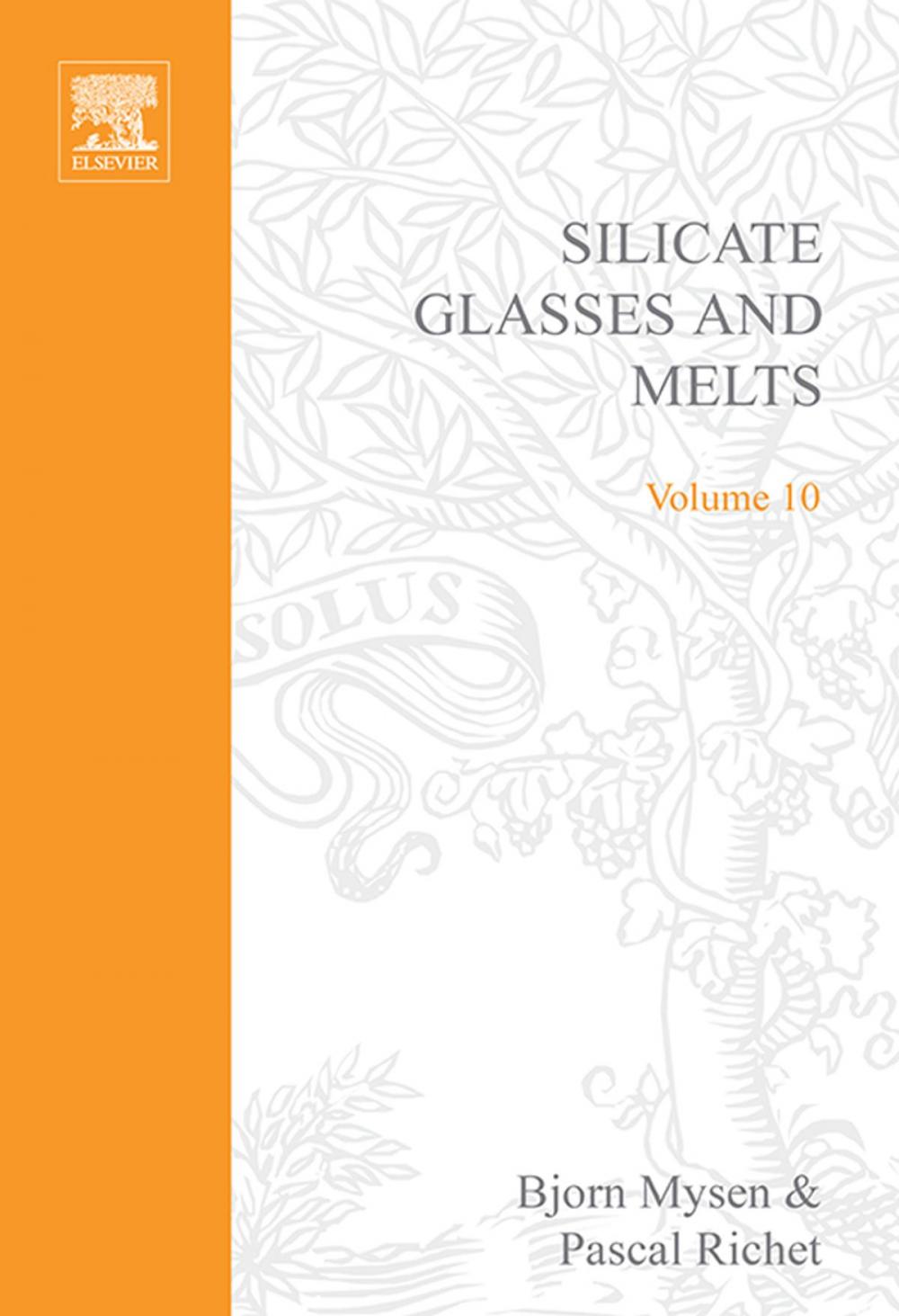 Big bigCover of Silicate Glasses and Melts