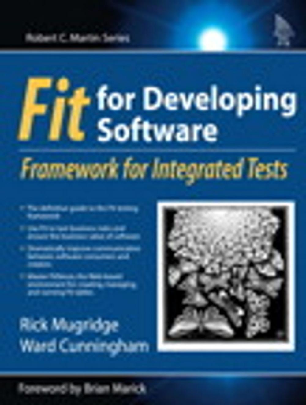 Big bigCover of Fit for Developing Software