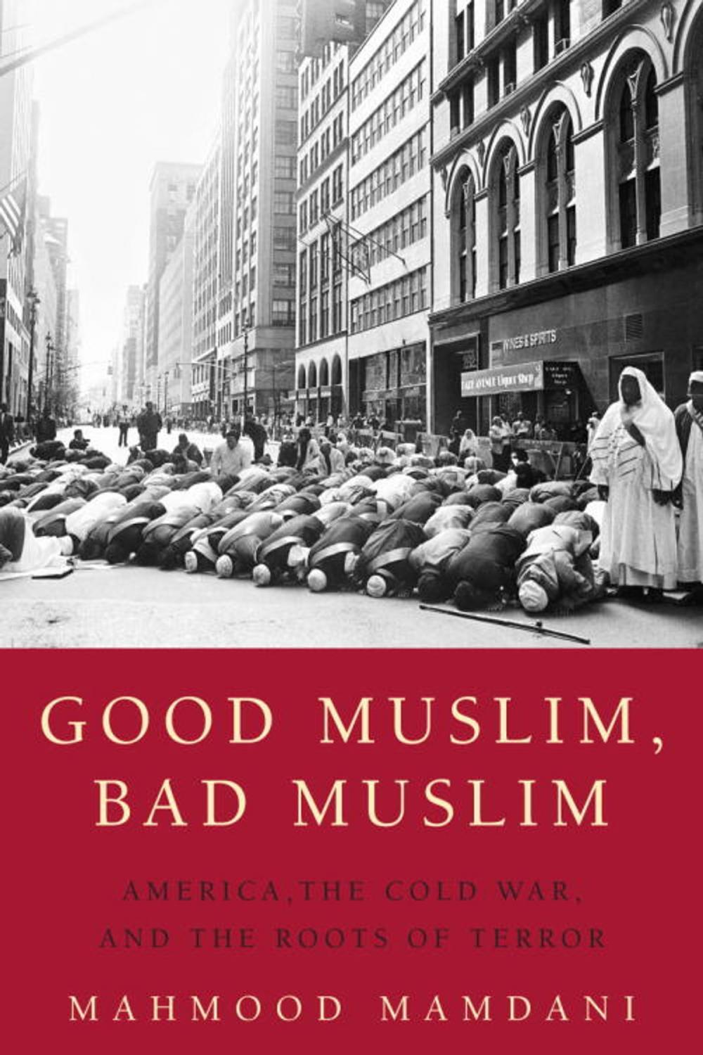 Big bigCover of Good Muslim, Bad Muslim